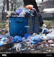 Best Dumpster Rental Services  in Edgewater, MD